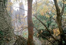 China (75 von 257).jpg